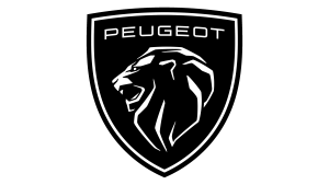 Peugeot-300